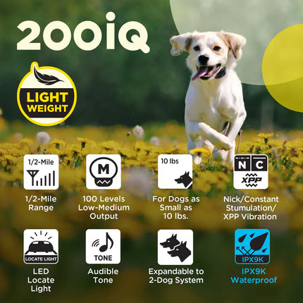 200iQ 1 - DOG UNIT