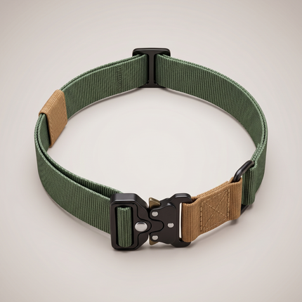 Nylon Bungee E-Collar Strap | Replacement Strap for Educator and More