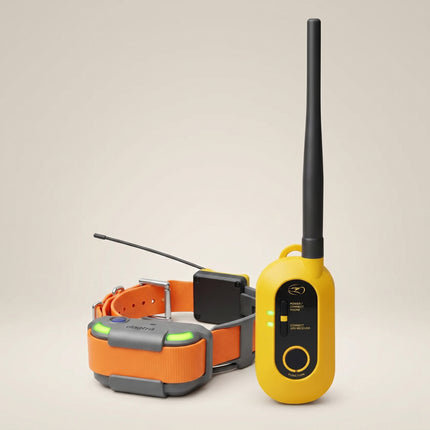 Dogtra Pathfinder 2