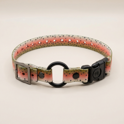 3/4" Waterproof E Collar Strap