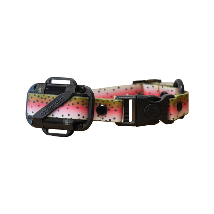 3/4" Waterproof E Collar Strap