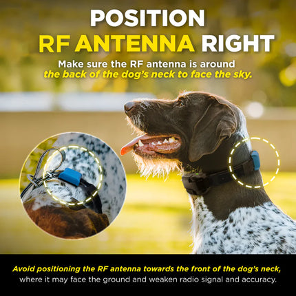 DOGTRA SMART FENCE