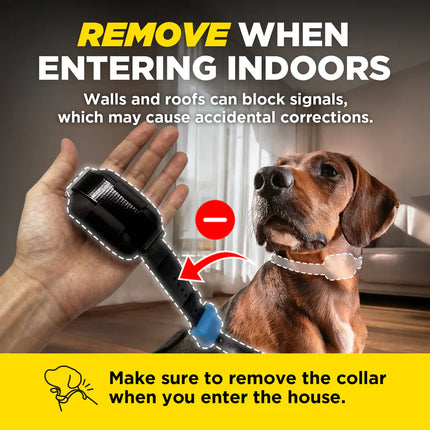 DOGTRA SMART FENCE