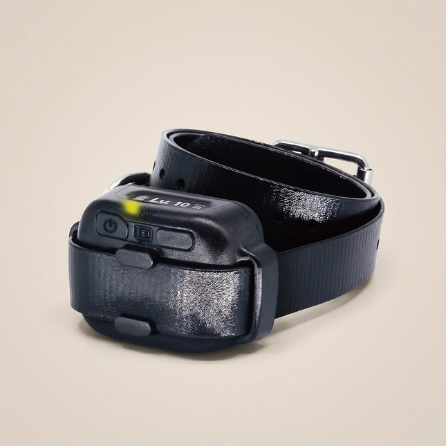 Dogtra - SMART NOBARK