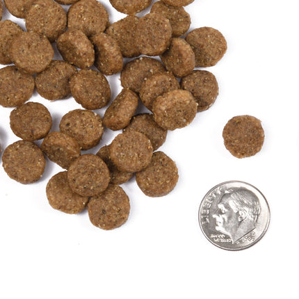 Fromm Classic Adult 30lb | Holistic Family-Owned Dog Food, Canada