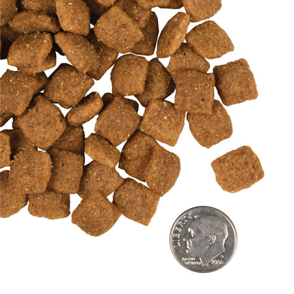 Fromm Adult Gold 30lb | 5-Protein Holistic Family-Owned Dog Food