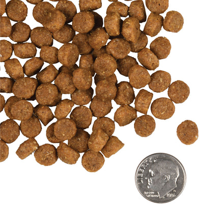 FROMM Puppy Gold 30lbs