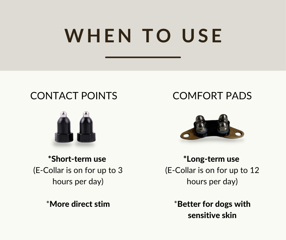 E collar online comfort pad