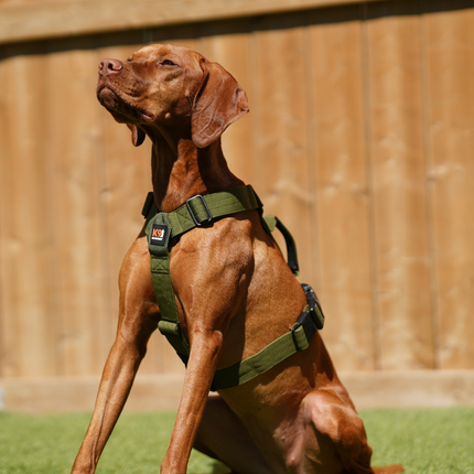 Signature Working Harness | K9 Academy Training and Car-Safety Harness