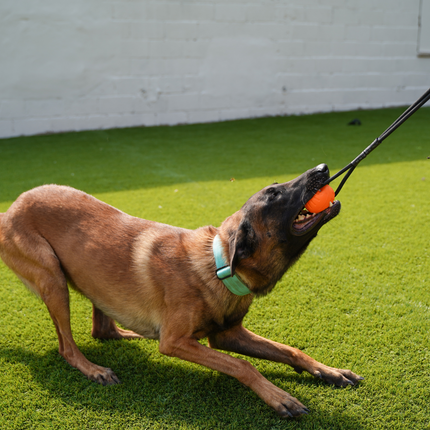 K9 Academy Tug Ball | Climbing Rope Training Reward 7cm and 9cm