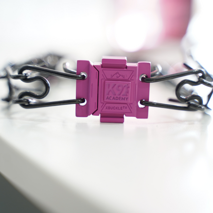 Quick Release Prong Clip