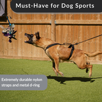 Signature Working Harness | K9 Academy Training and Car-Safety Harness