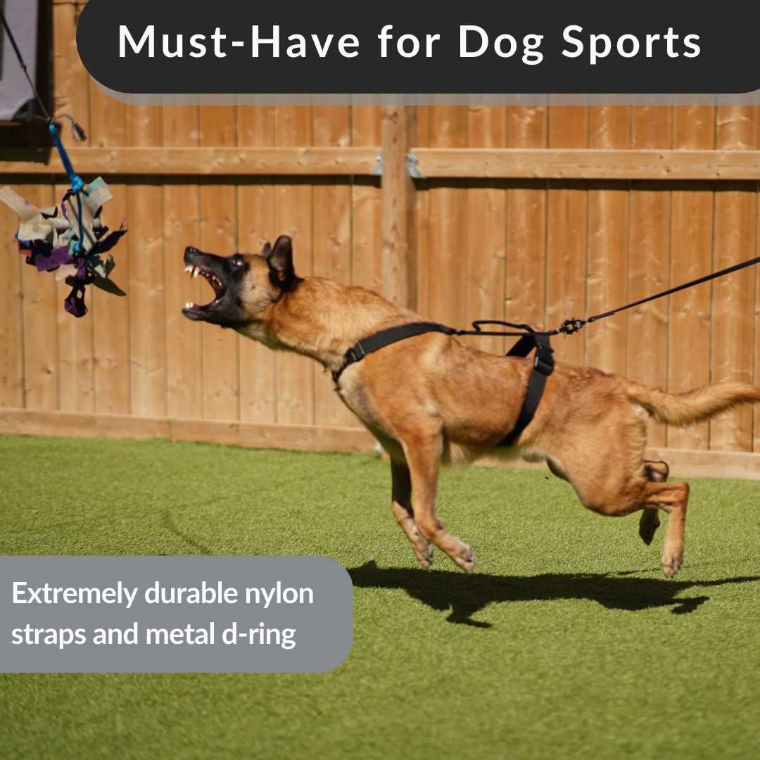 Signature Working Harness – K9 Academy - Main Image