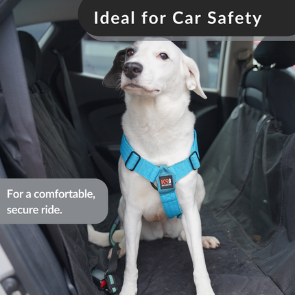 Signature Working Harness | K9 Academy Training and Car-Safety Harness