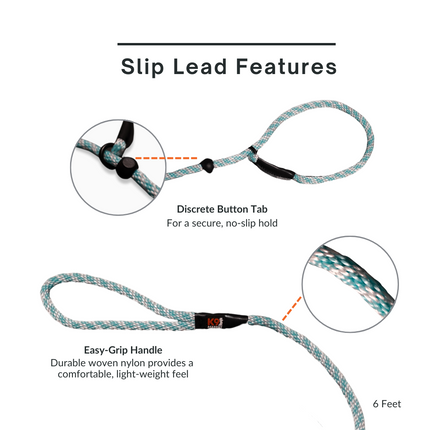 Trainer's Slip Lead