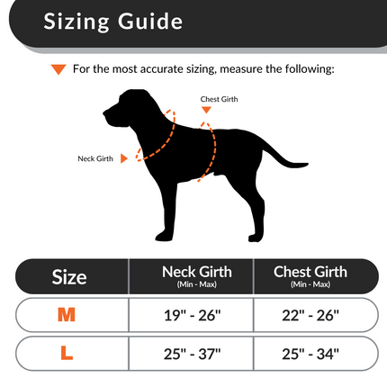 Signature Working Harness | K9 Academy Training and Car-Safety Harness