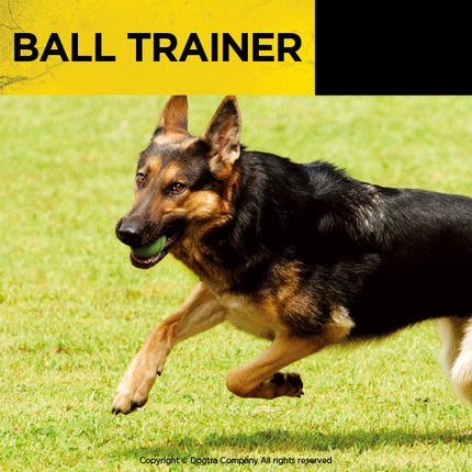 Dogtra Ball Trainer PRO
