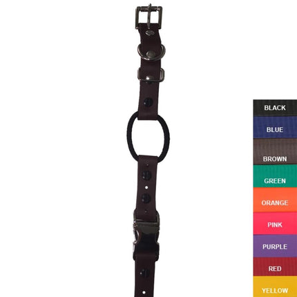 Quick-Snap Bungee E Collar Strap