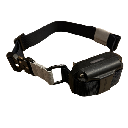 Nylon Bungee E-Collar Strap | Replacement Strap for Educator and More