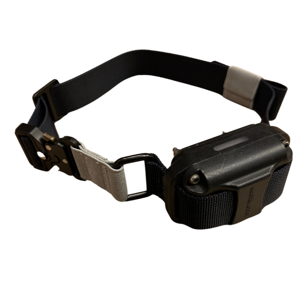 Elastic e collar sales strap