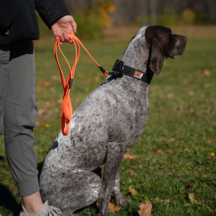 Signature Leash