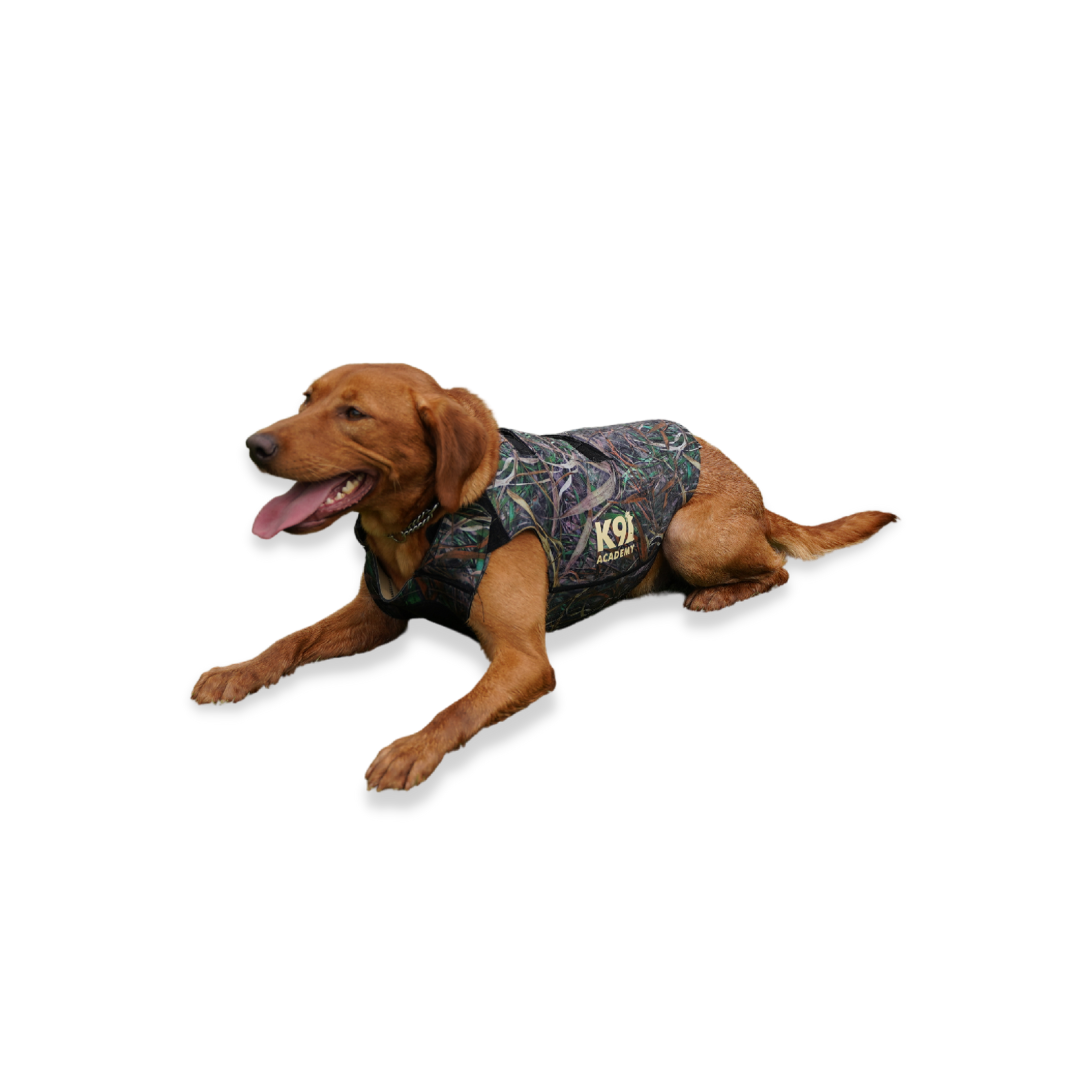 Lab top hunting vest