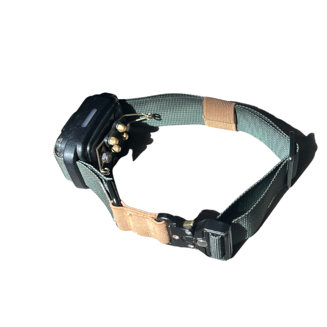 Dog top collar strap